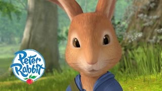 Peter Rabbit  Being Helpful with Lily 🐰  Practical Pocket  30 Mins Compilation  Kids Cartoons [upl. by Yenruoj]