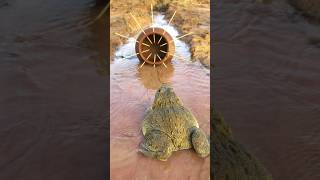 Survival Skills Simple and Useful with Clay Frog Trap survival bushcraft camping shrots [upl. by Aillimac259]