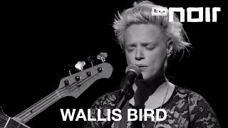 Wallis Bird  Holding A Light live bei TV Noir [upl. by Aimej]