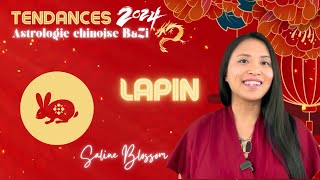 Astrologie chinoise BaZi  Année du Dragon 2024  Signe du Lapin 🐇 [upl. by Drahsir621]