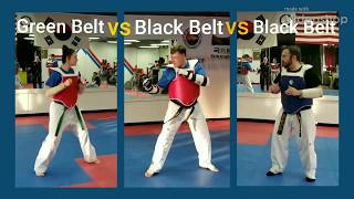 Green Belt vs Black Belt vs Black Belt Taekwondo sparring [upl. by Chev]