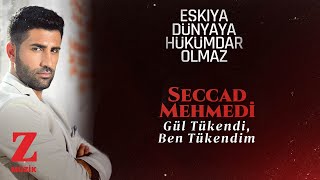 Seccad Mehmedi  Gül Tükendi Ben Tükendim  EDHO Dizi Müziği © 2020 Z Müzik [upl. by Nor]