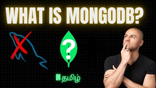 What is MongoDB  Python Series  29 [upl. by Eivod]