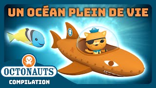 Octonauts  ✨ Un océan plein de vie 🌎  Compilation  Dessins animés pour enfants [upl. by Adeehsar]