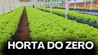 PLANTIO DE ALFACE NAS CALHAS DEU CERTO  ESTAMOS INICIANDO UMA HORTA DO ZERO [upl. by Anihs329]