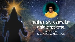 05 Mar 2019 Morning  Maha Shivaratri Celebrations Muddenahalli [upl. by Suirad865]