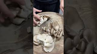 Amazing Enoki Mushrooms Cutting Skills vegitablecutting vegetableart tricks [upl. by Nylirehs910]