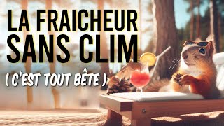 Se rafraîchir sans climatisation 🥵​ 15 méthodes inspirées des animaux pour supporter la chaleur [upl. by Og304]