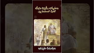 Jesus Christ is as a son of God as a Prophet as a God as a High Priest as a Lamb [upl. by Surat571]