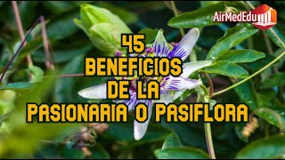 45 Beneficios de la Pasionaria o Pasiflora [upl. by Orravan]