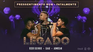 LEGADO Gaab Rodriguinho e AhMrDan  Pressentimento  Fatalmente part Livinho DVD AO VIVO [upl. by Tiny344]