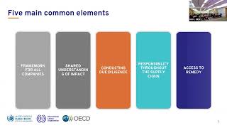 Training on the UNGPs ILO MNE Declaration and OECD Guidelines with a focus on access to remedy [upl. by Ynatirb]