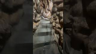 Mata vaishno devil I jai mata diVaishno devi latest yatra September 20241 vaishno devi tour 2024 [upl. by Gaudette]