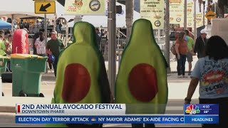 Downtown Pharr hosts 2nd annual avocado festival [upl. by Dorin139]