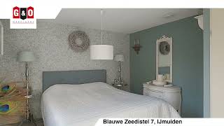 HomeShow  Blauwe Zeedistel 7 IJmuiden [upl. by Llerrem]