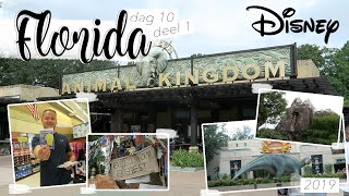 DINOSAURUSSEN SPOTTEN in DISNEYS ANIMAL KINGDOM 🦖  FLORIDA 2019  dag 10  deel 1 [upl. by Boff]