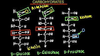 Carbohydrates  Monosaccharides  Biology [upl. by Disario]