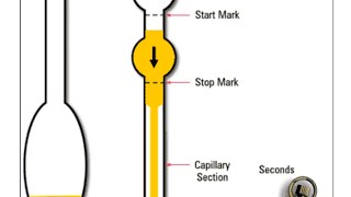 Measurement of viscosity [upl. by Akimaj150]