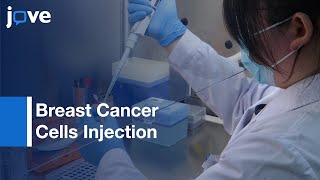 Breast Cancer Cells Injection [upl. by Nnairac822]