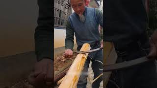 The process of peeling bark from a log [upl. by Januarius]