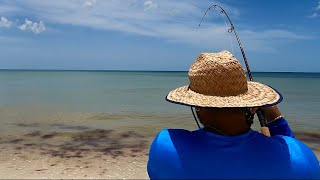 Fishing Dirty Shark Infested Waters Bonita Springs [upl. by Seumas]