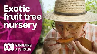 We Taste Exotic Fruits at a SubTropical Nursery  Discovery  Gardening Australia [upl. by Leonelle]