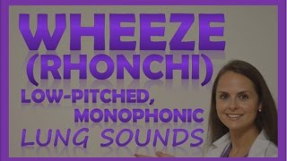 Wheezes Lung Sounds Monophonic Rhonchi Breath Sounds Abnormal Sonorous Wheeze [upl. by Kluge]