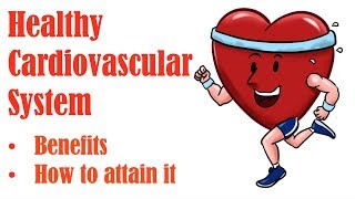 3 What is Cardiovascular Fitness and How to Develop a Healthy Cardiovascular System [upl. by Ashjian617]