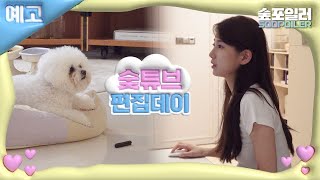 예고 유튜버 수지에 대한 모든 것 수지 vlog ❤️10월 13일 OPEN❤️ [upl. by Maddy838]