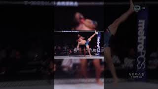 Demetrious Johnson’s Flying Armbar Submission [upl. by Aeresed639]