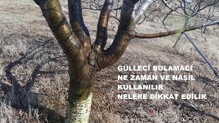 Gülleci bulamacı nasıl uygulanır Dikkat dozaj ayarlaması çok önemli [upl. by Emarej]