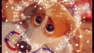 The Queen’s Corgi  Rex amp Wanda￼ – Tribute￼ Slideshow Good Day AMV [upl. by Bradshaw]