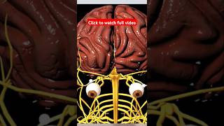 gabica 300 mg side effects in urdu shorts [upl. by Elbas]