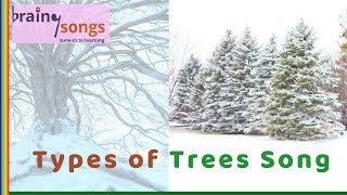 Types of Trees Song  Evergreen and Deciduous Trees  Deciduous Trees [upl. by Zavala]