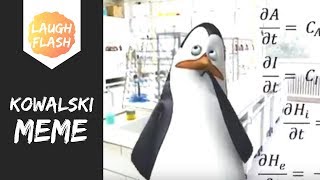 Kowalski ANALYSIS Meme [upl. by Drarej]