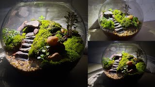 Terrarium  How to make terrarium  Moss terrarium  Fairy Garden [upl. by Atilem787]