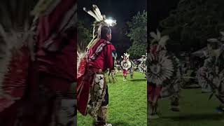 nativeamerican indigenous jingledress sioux cree culture dancing navajo powwow viral [upl. by Priscella390]