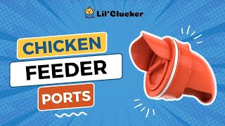 LILCLUCKER Easy Install diy Chicken Feeder Port  Rodent Proof Chicken Feeder [upl. by Deacon]