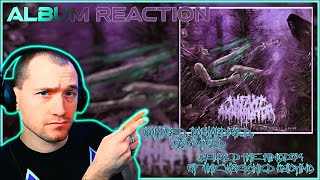 Infant Annihilator  Baptised Bastardised Sodomised  BtKotWU ALBUM REACTION Dickey is fast [upl. by Vasili]