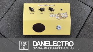 Danelectro Spring King Spring Reverb [upl. by Anneis]