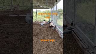 No light 🥹🥹 funny comedy shetkaridada farming [upl. by Belter]