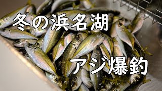 【サビキ釣り】冬の堤防でアジが爆釣【浜名湖・新居海釣り公園】 [upl. by Silevi155]