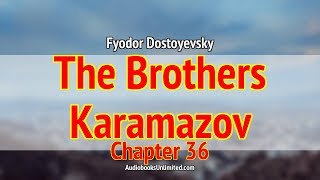 The Brothers Karamazov Audiobook Chapter 36 [upl. by Nuawaj]