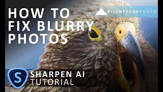 Topaz Sharpen AI Tutorial  How to Fix Blurry Pictures [upl. by Assirak334]