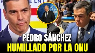 DESASTRE DE PEDRO SÁNCHEZ LA ONU EXPLOTA EN SU CARA  DESASTROSA GESTIÓN [upl. by Hadwin]