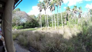 Kilimanjaro Safari Animal Kingdom Walt Disney World 2015 [upl. by Reeva]