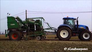 2 x New Holland T6080 en Verstraete  Houthoofd uit Ardooie [upl. by Britte]