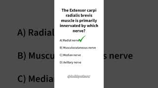 The Extensor carpi radialis brevis muscle is primarily innervated by which nerve Physiology [upl. by Ettennil235]