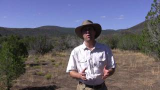 Introduction To Desert Survival With Tony Nester [upl. by Nnyleahs872]