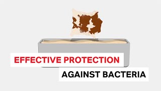 Biocides for soaking Effective protection against bacteria [upl. by Yeslek]